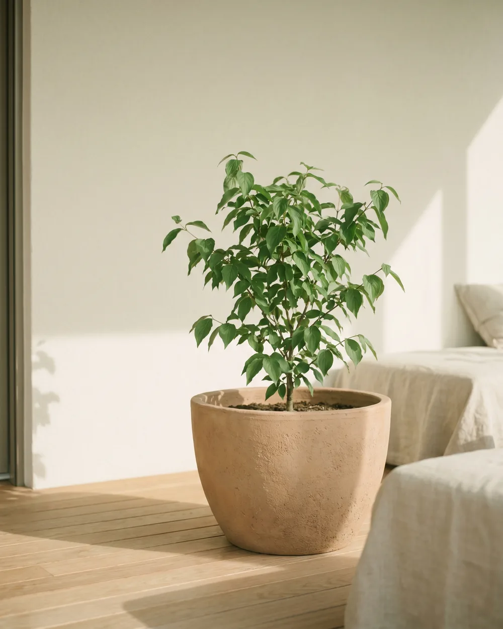 Kornelkirsche styliert im Wohnraum