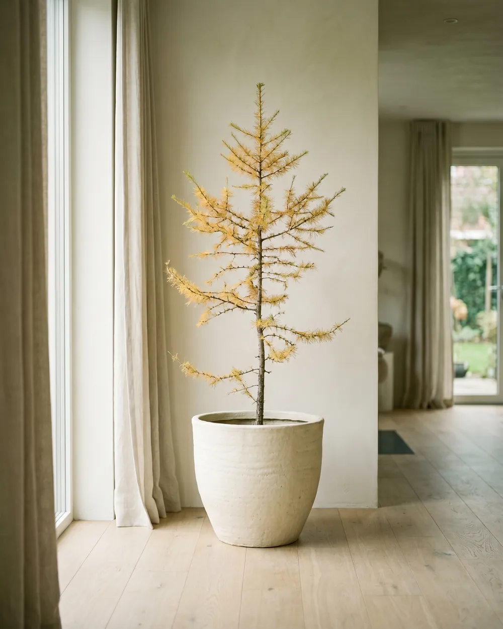 Lärche styliert im Wohnraum