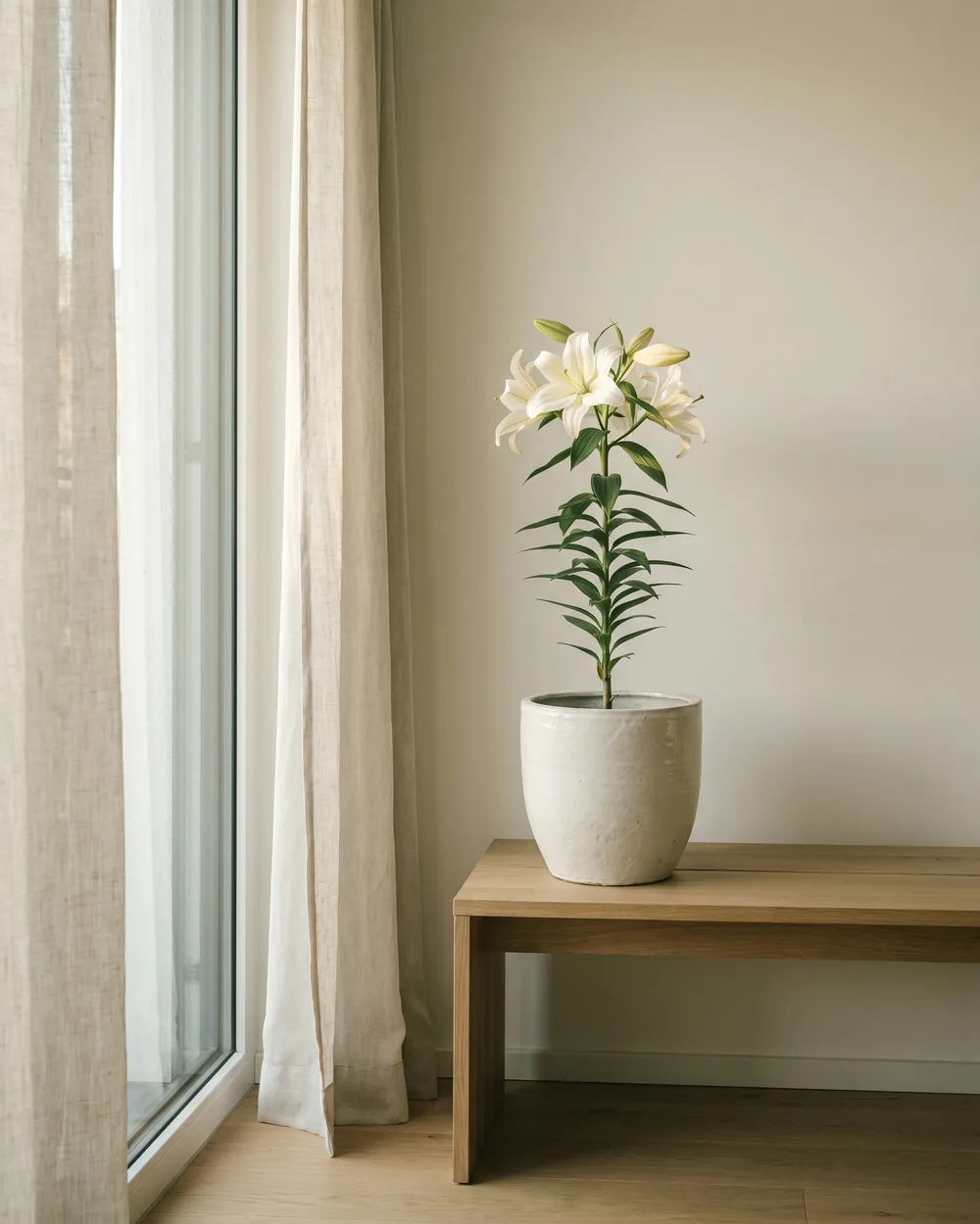 Lilie styliert im Wohnraum