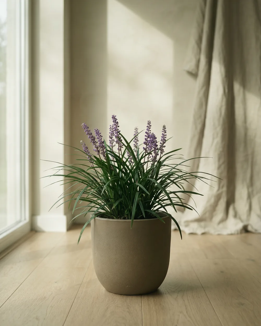Lilientraube styliert im Wohnraum