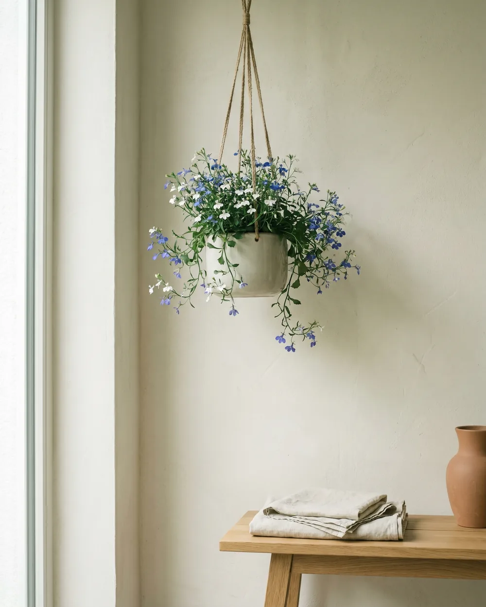 Lobelie styliert im Wohnraum