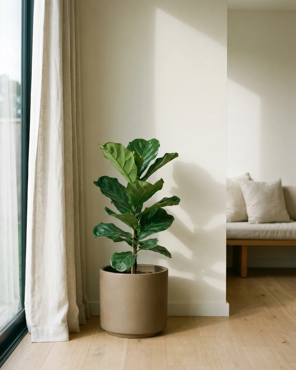 Löwenmäulchen styliert im Wohnraum