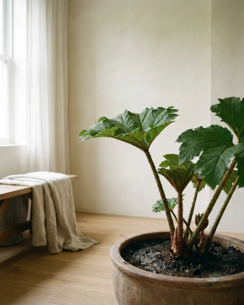 Mammutblatt styliert im Wohnraum