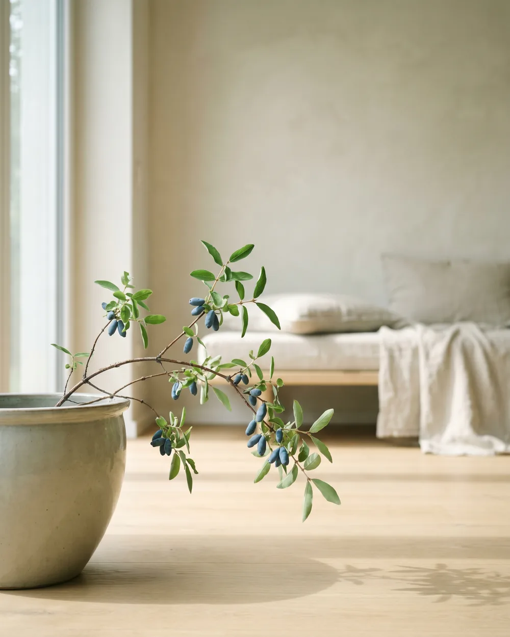 Honigbeere styliert im Wohnraum