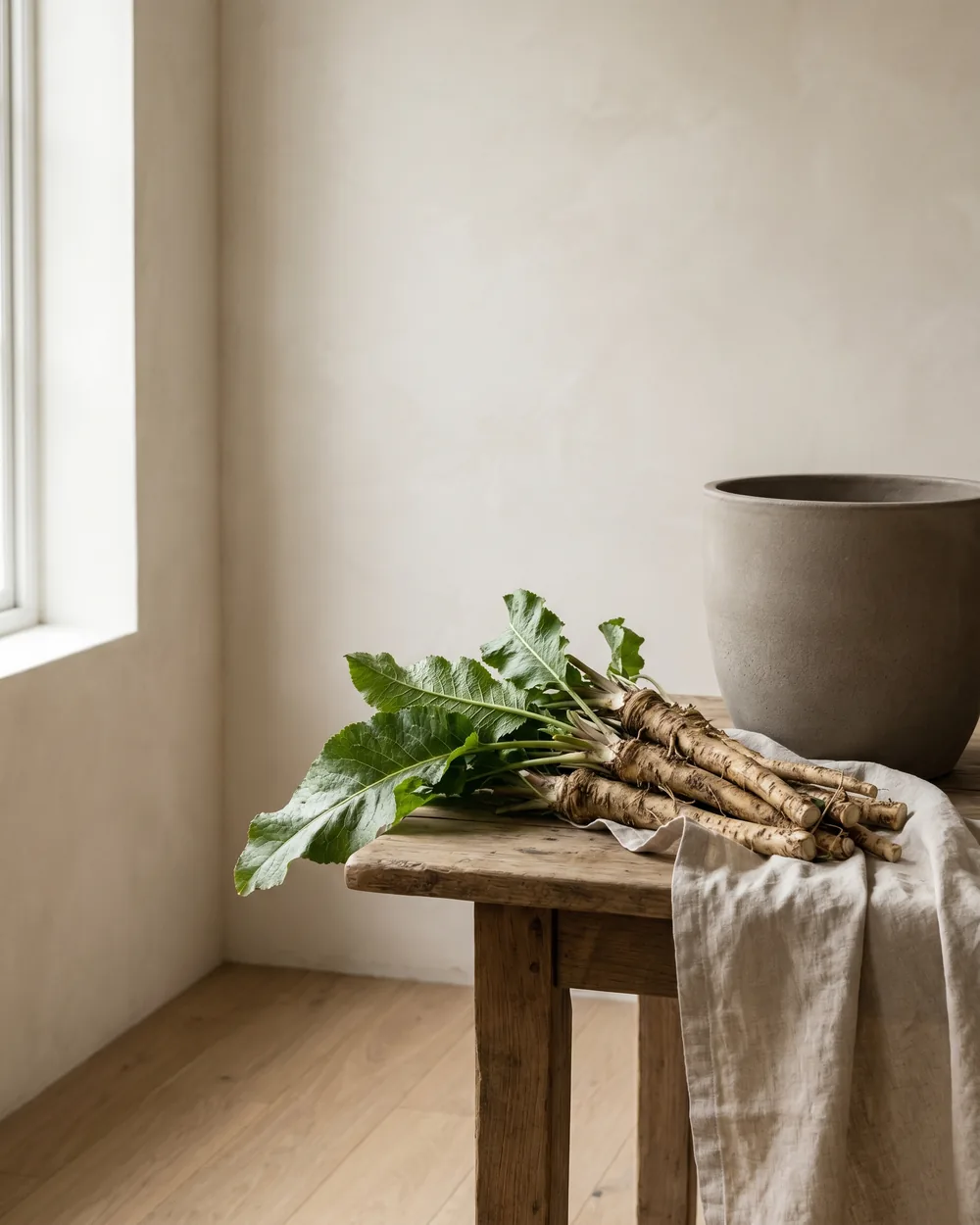 Meerrettich styliert im Wohnraum