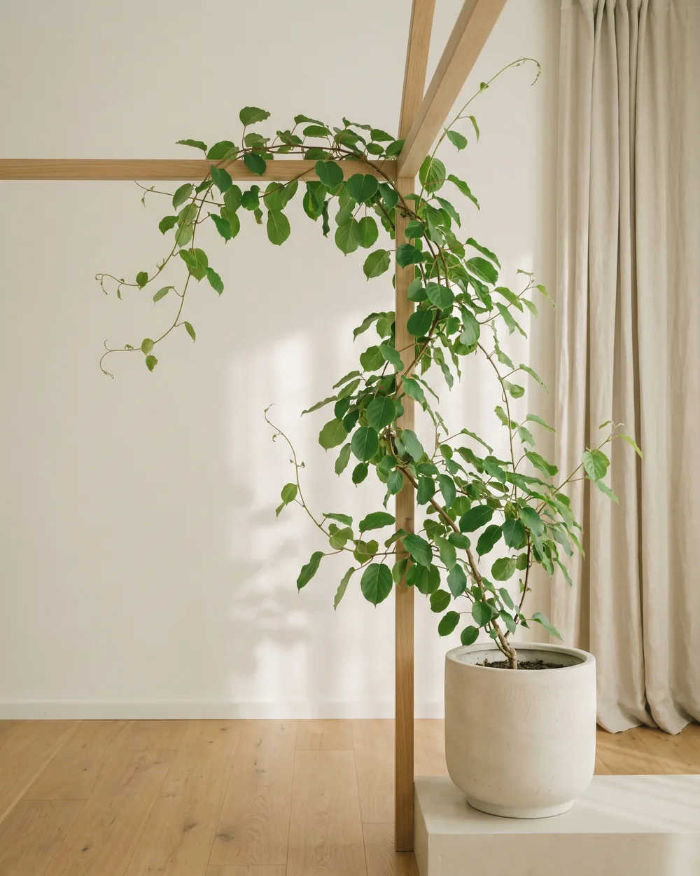 Mini-Kiwi styliert im Wohnraum