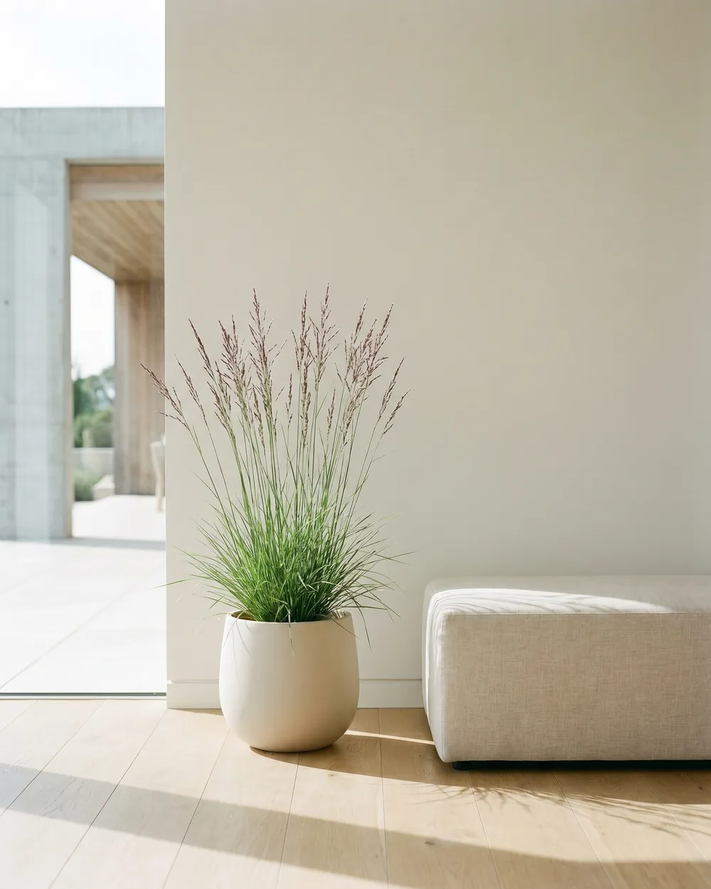 Mondschein-Gras styliert im Wohnraum