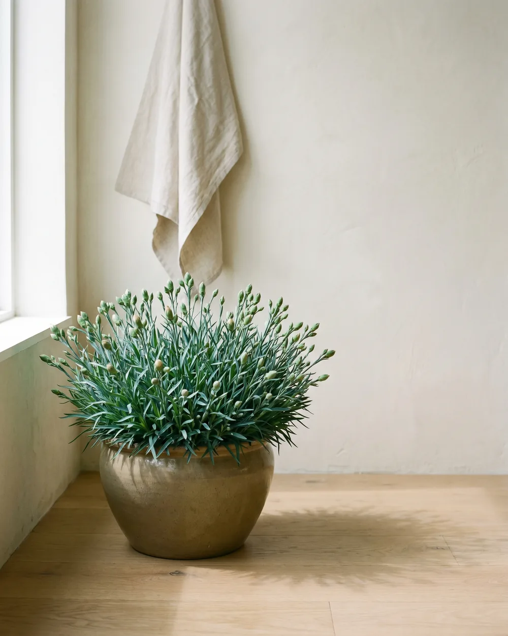 Nelke styliert im Wohnraum