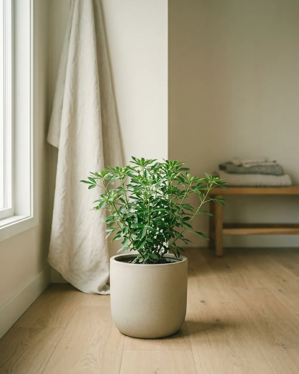 Orangenblume styliert im Wohnraum