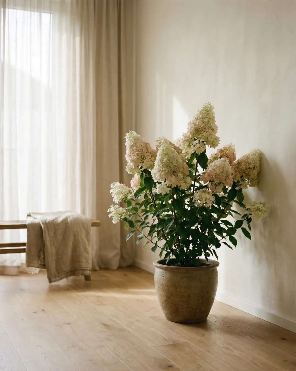 Hortensie styliert im Wohnraum