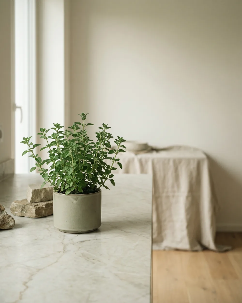 Oregano styliert im Wohnraum