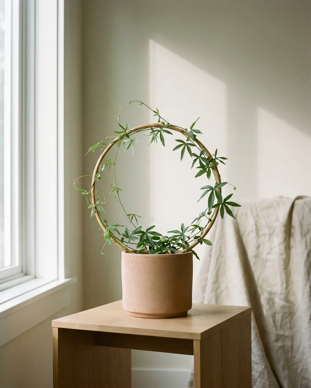 Passionsblume styliert im Wohnraum