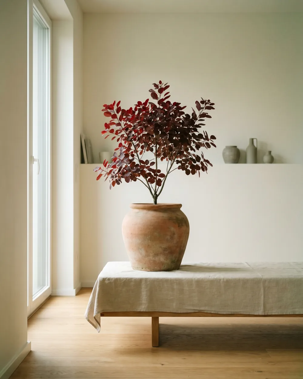 Perückenstrauch styliert im Wohnraum
