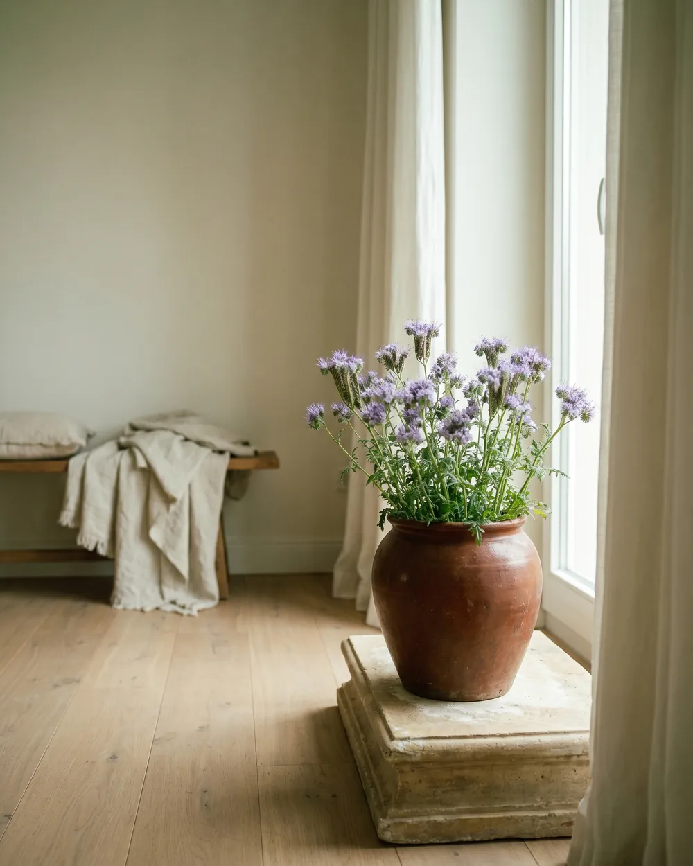 Phacelia styliert im Wohnraum