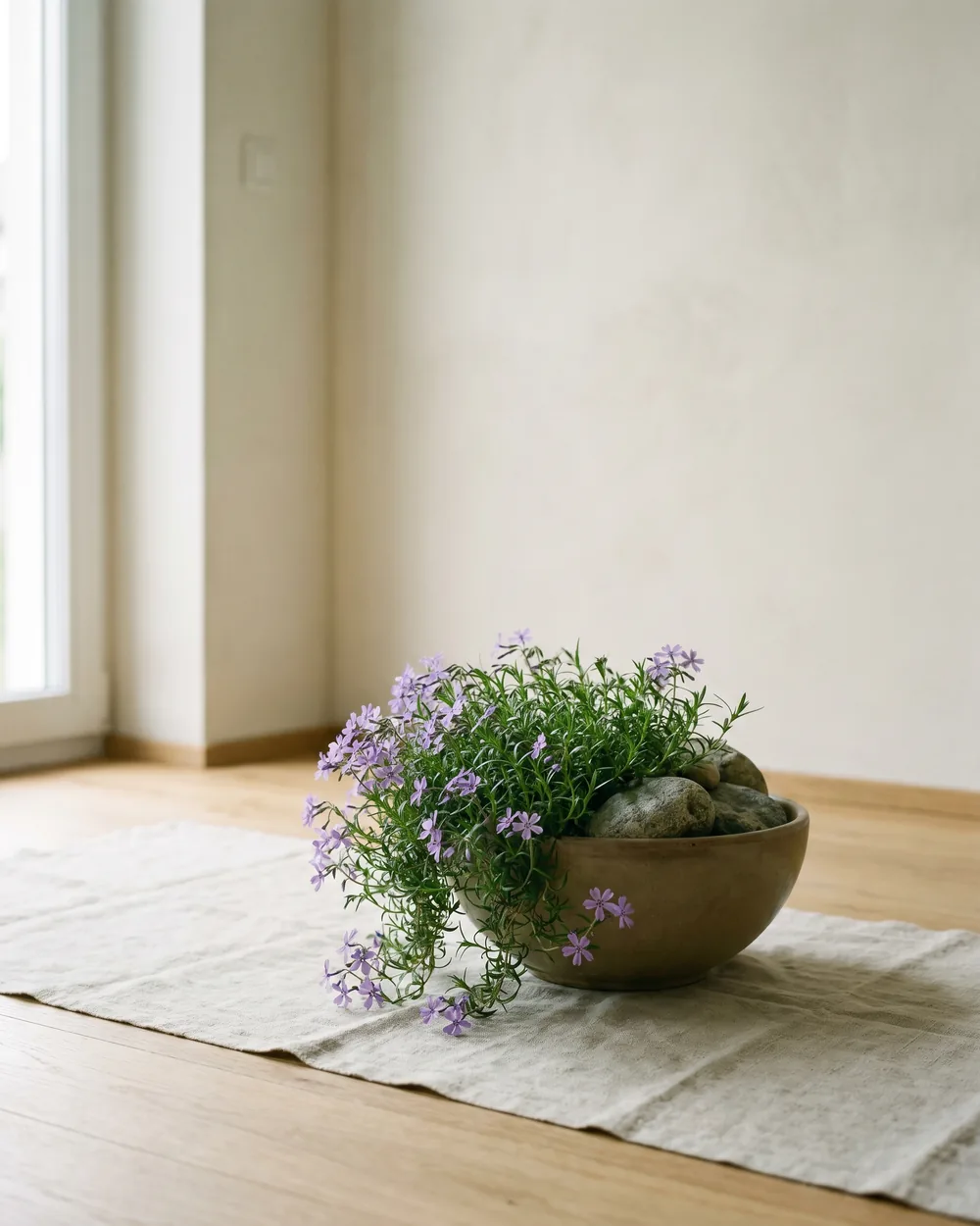 Phlox styliert im Wohnraum
