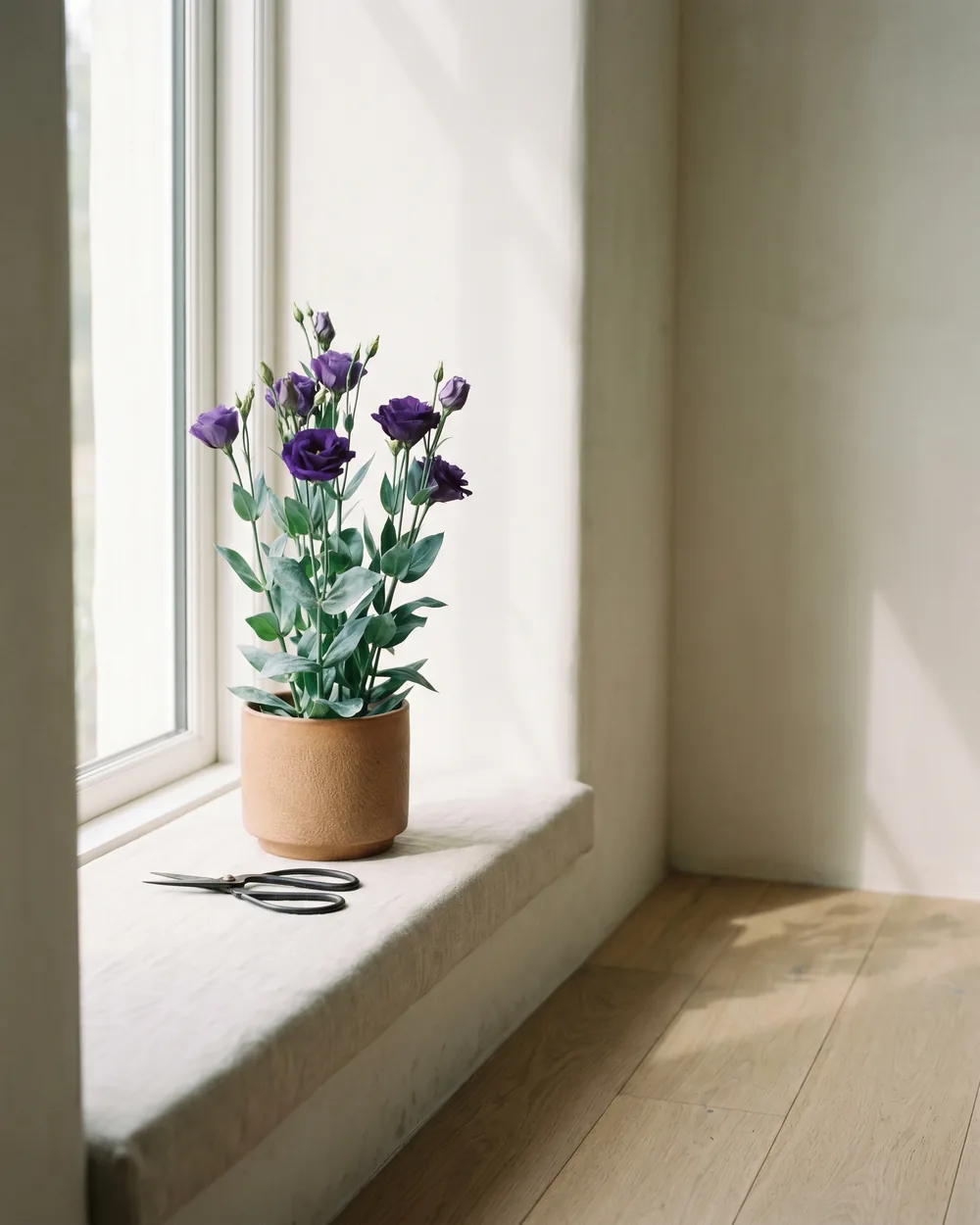 Prärie-Enzian styliert im Wohnraum