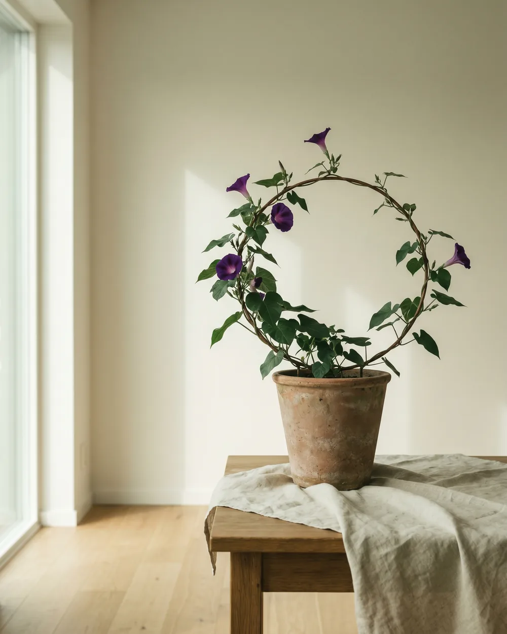 Prunkwinde styliert im Wohnraum