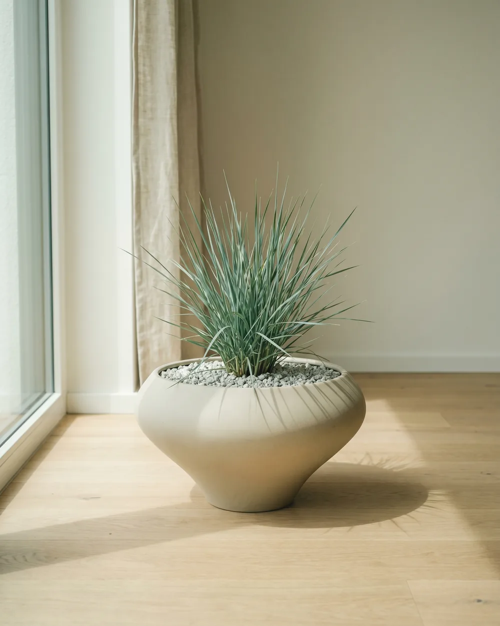 Quecke styliert im Wohnraum
