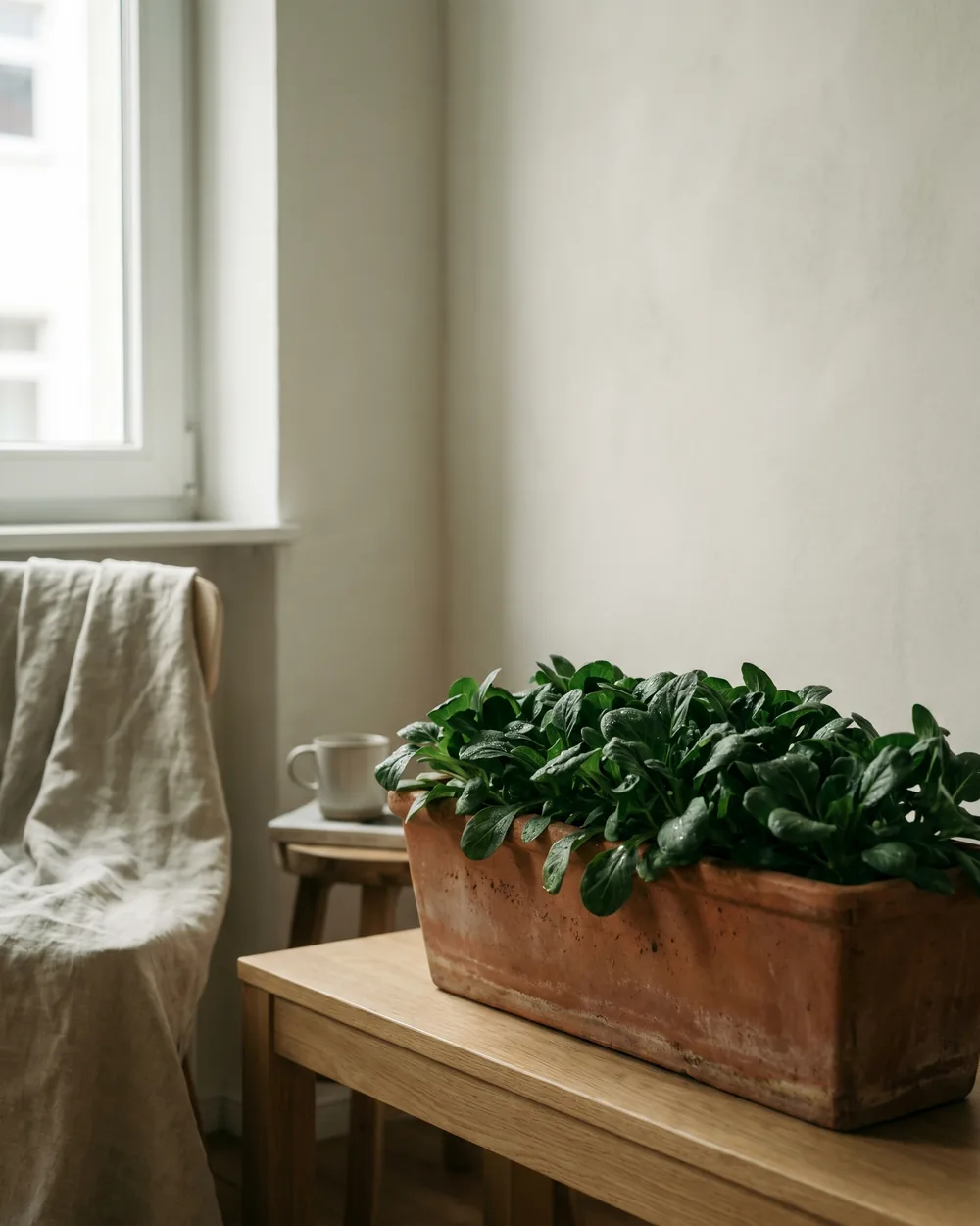 Rapunzel styliert im Wohnraum