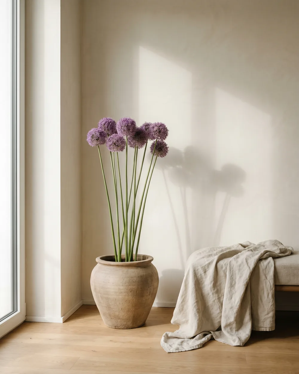 Riesen-Lauch styliert im Wohnraum