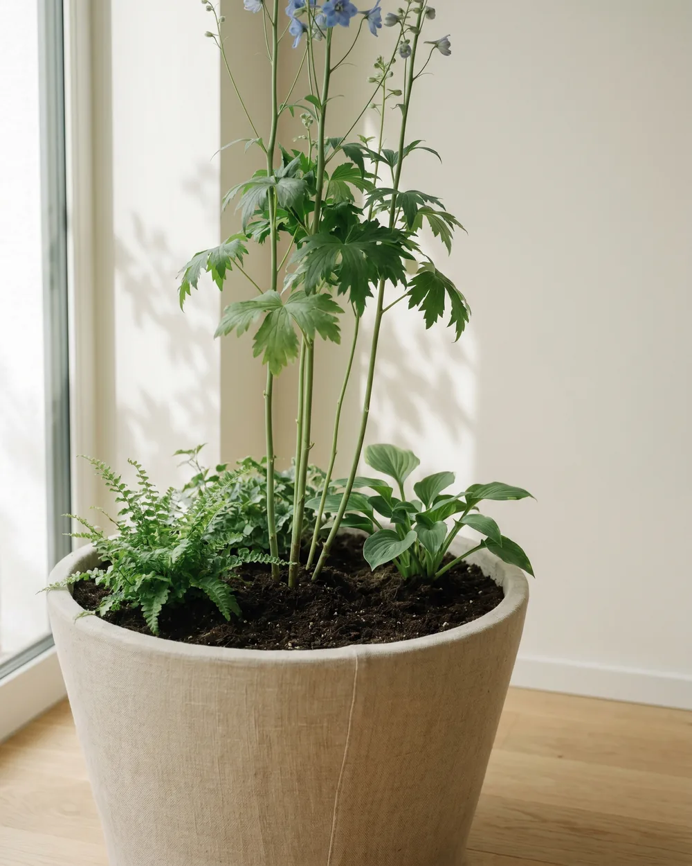 Rittersporn styliert im Wohnraum