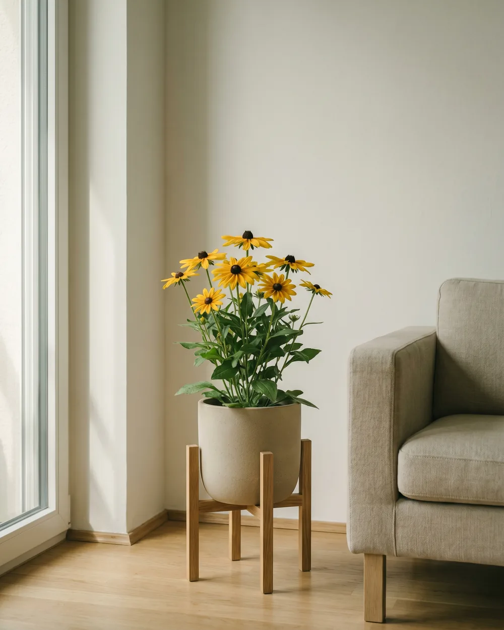 Rudbeckie styliert im Wohnraum