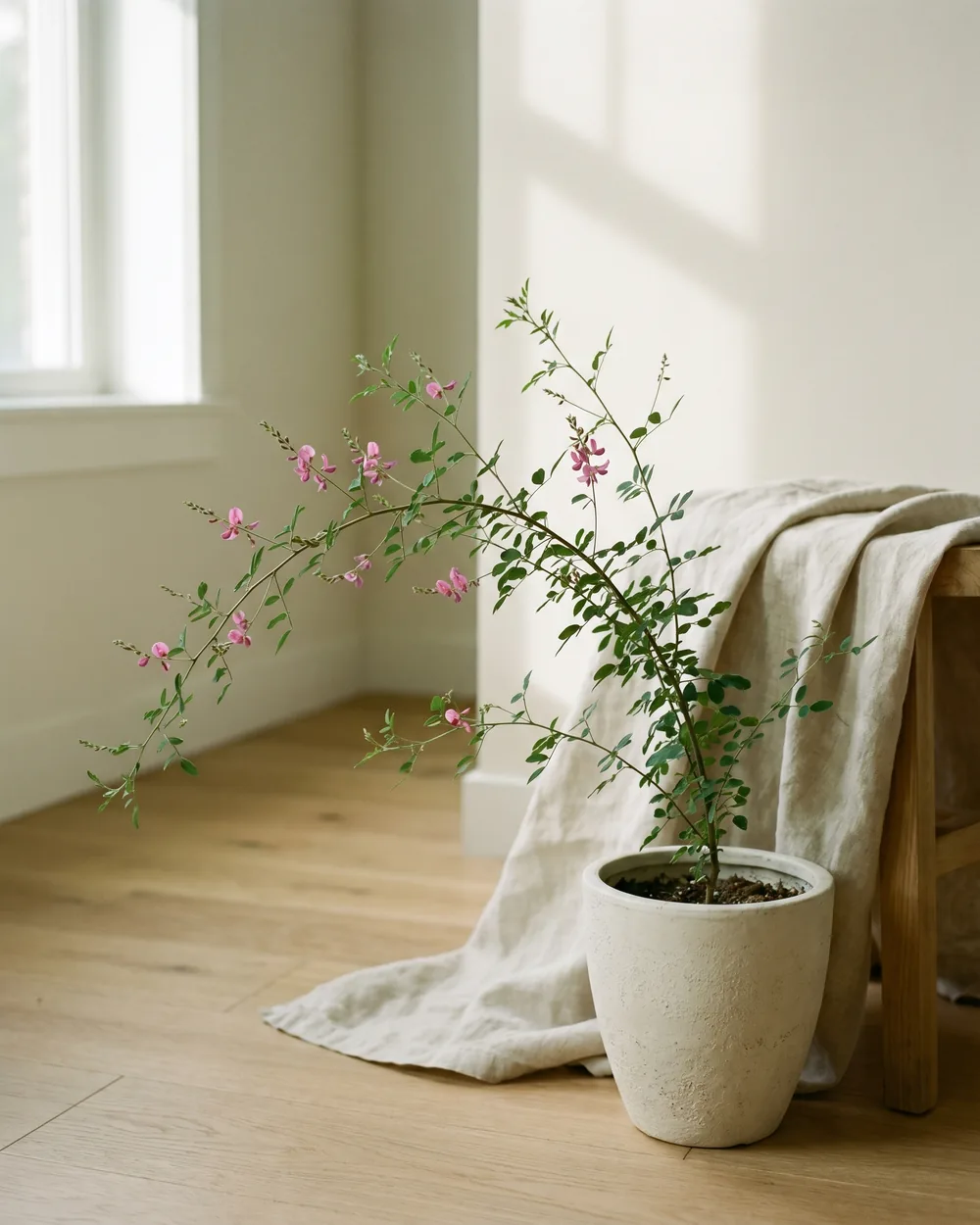 Indigo styliert im Wohnraum