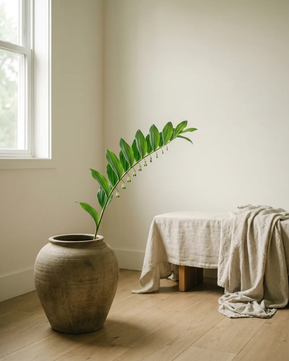 Salomonssiegel styliert im Wohnraum