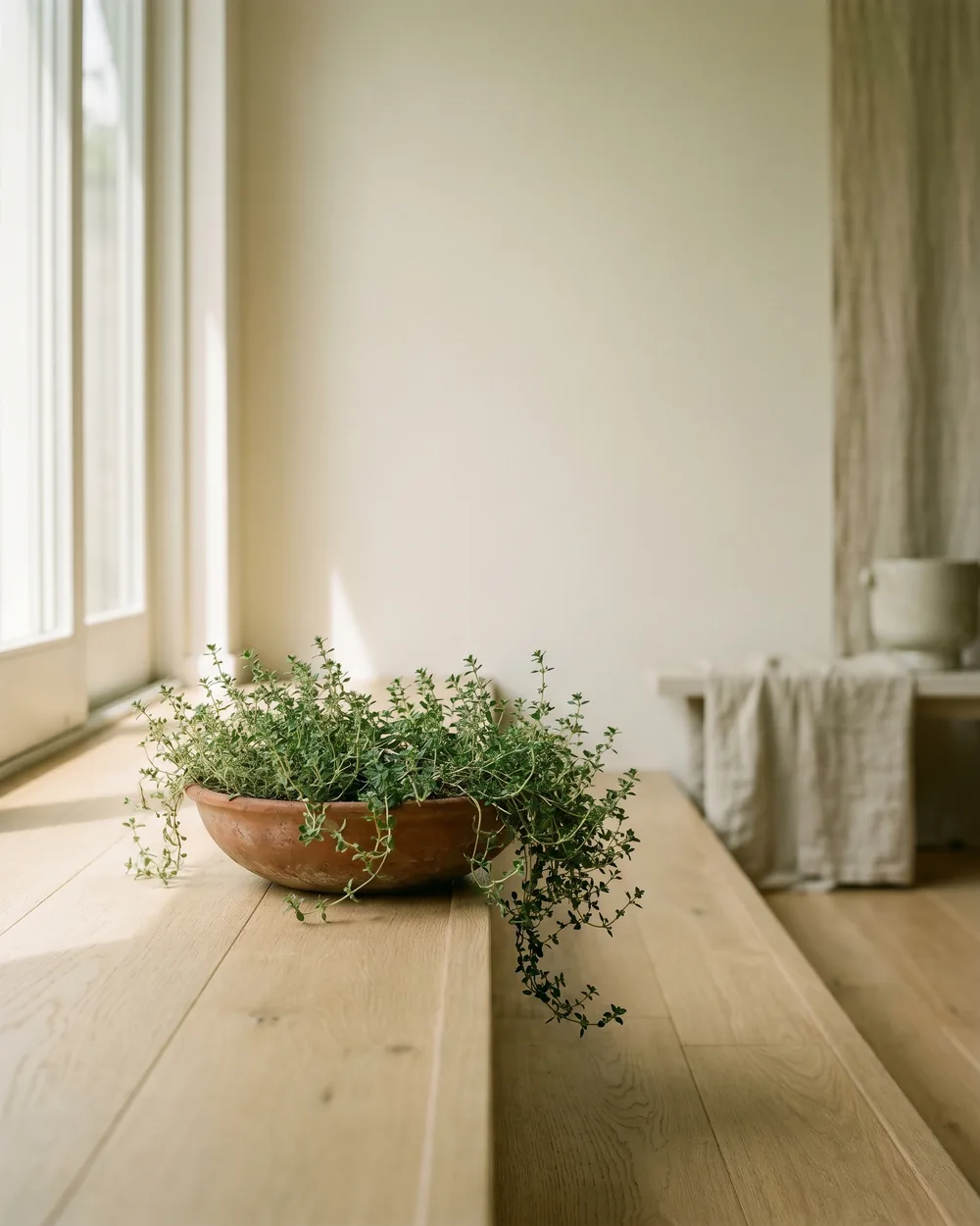 Sand-Thymian styliert im Wohnraum