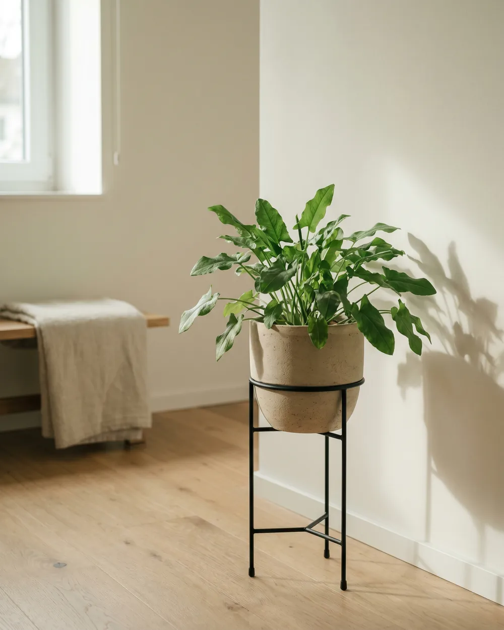 Sauerampfer styliert im Wohnraum