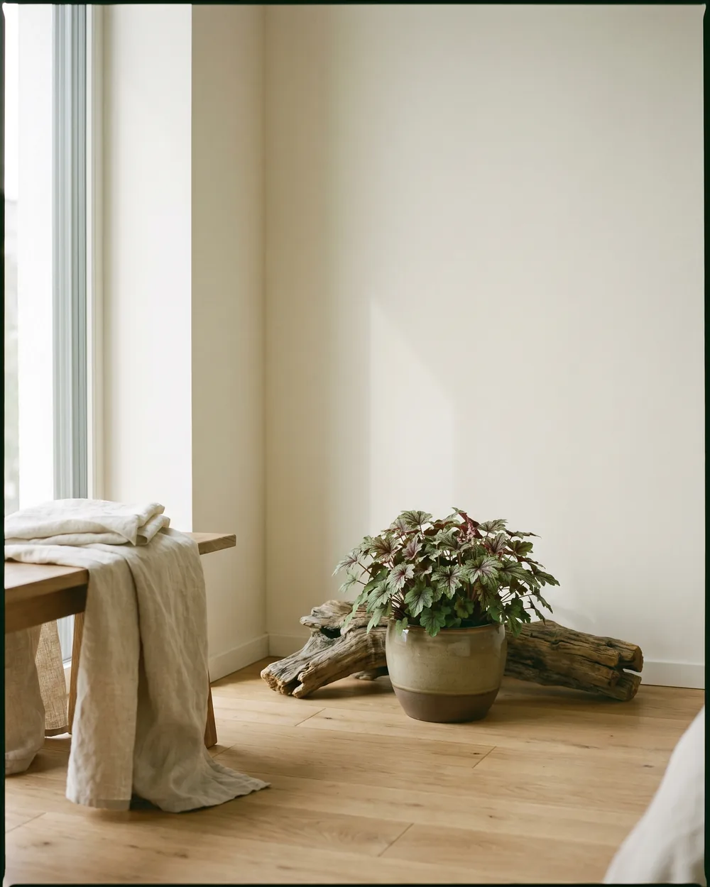 Schaumblüte styliert im Wohnraum