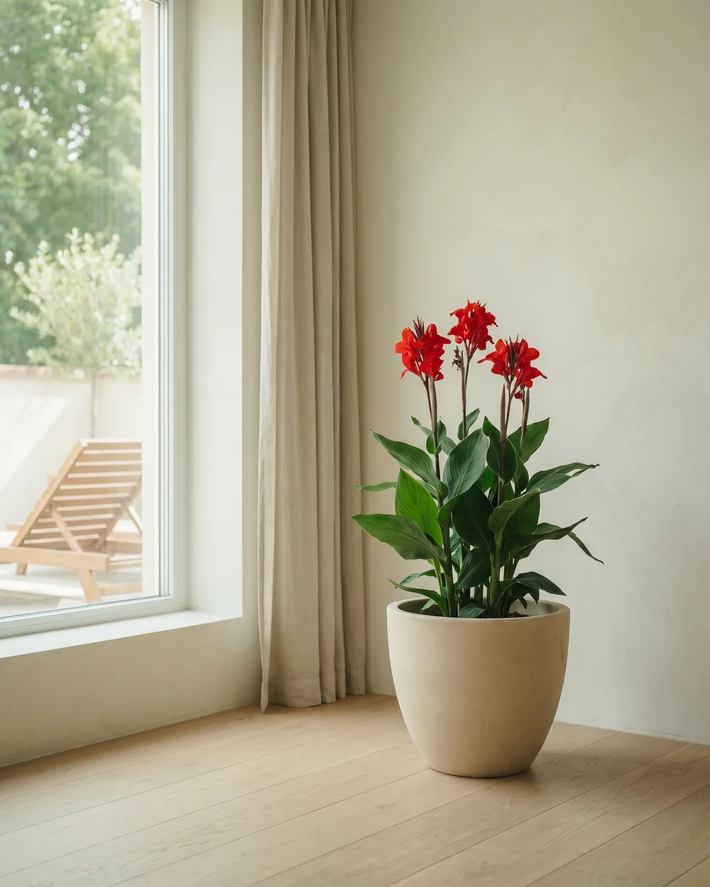 Indisches Blumenrohr styliert im Wohnraum