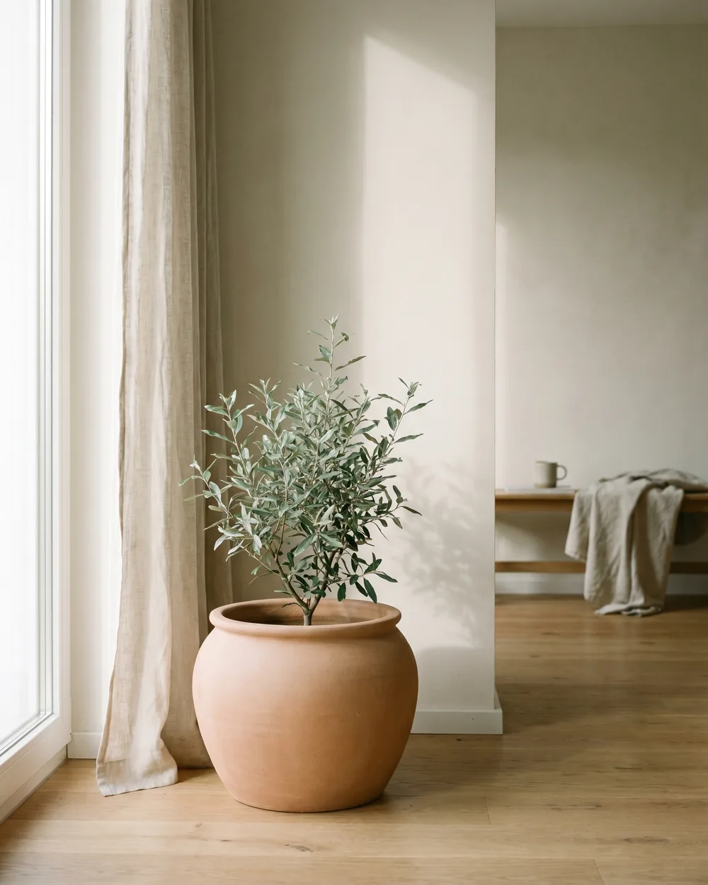 Schmalblättrige Ölweide styliert im Wohnraum