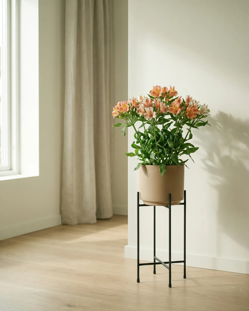 Inkalilie styliert im Wohnraum