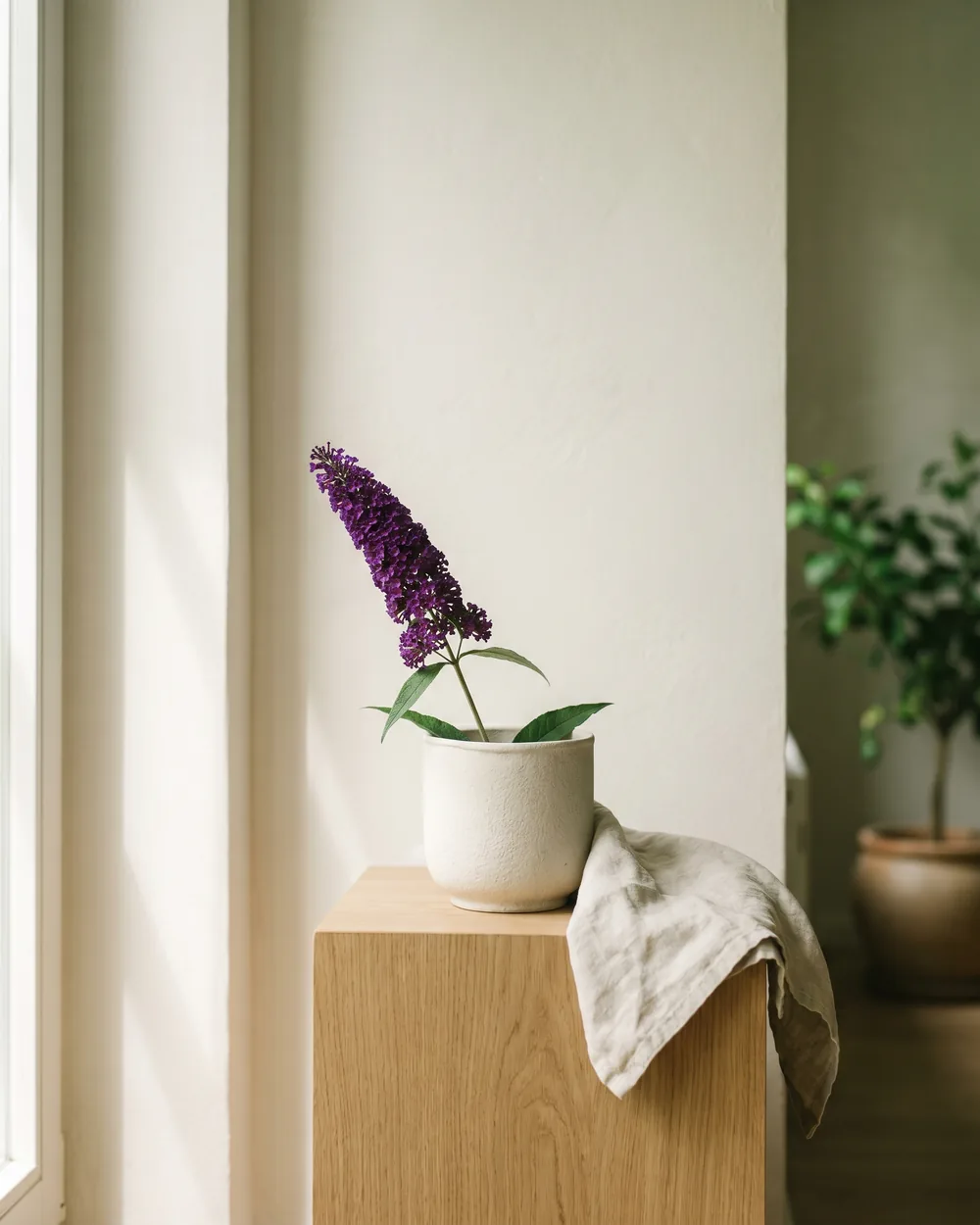 Schmetterlingsflieder styliert im Wohnraum