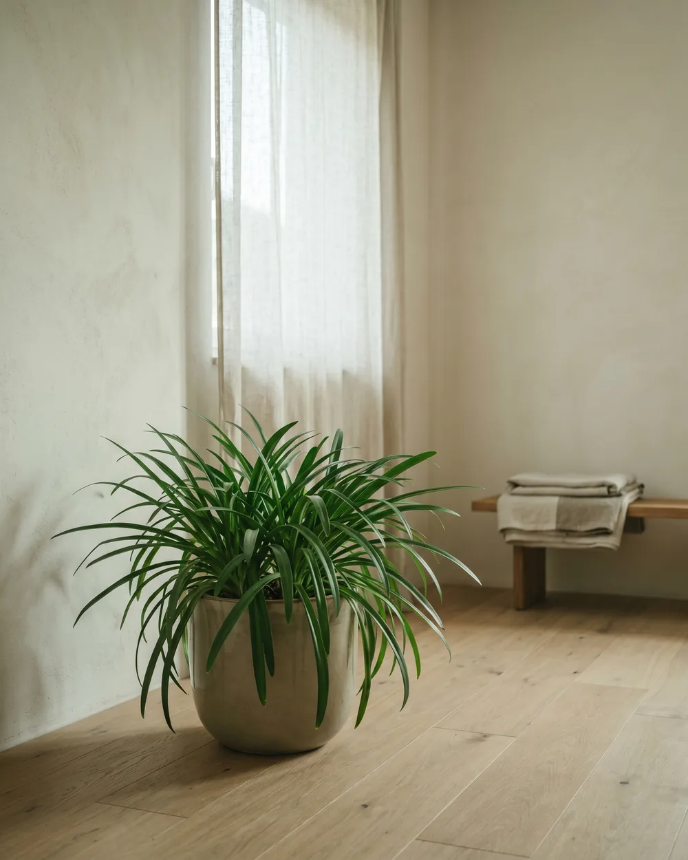 Schmucklilie styliert im Wohnraum
