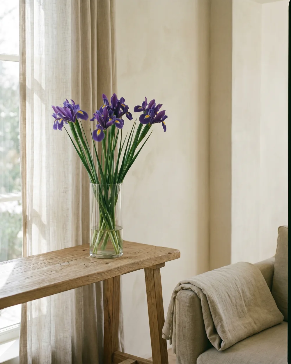 Iris styliert im Wohnraum