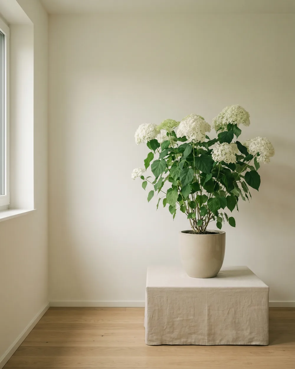 Schneeballhortensie styliert im Wohnraum