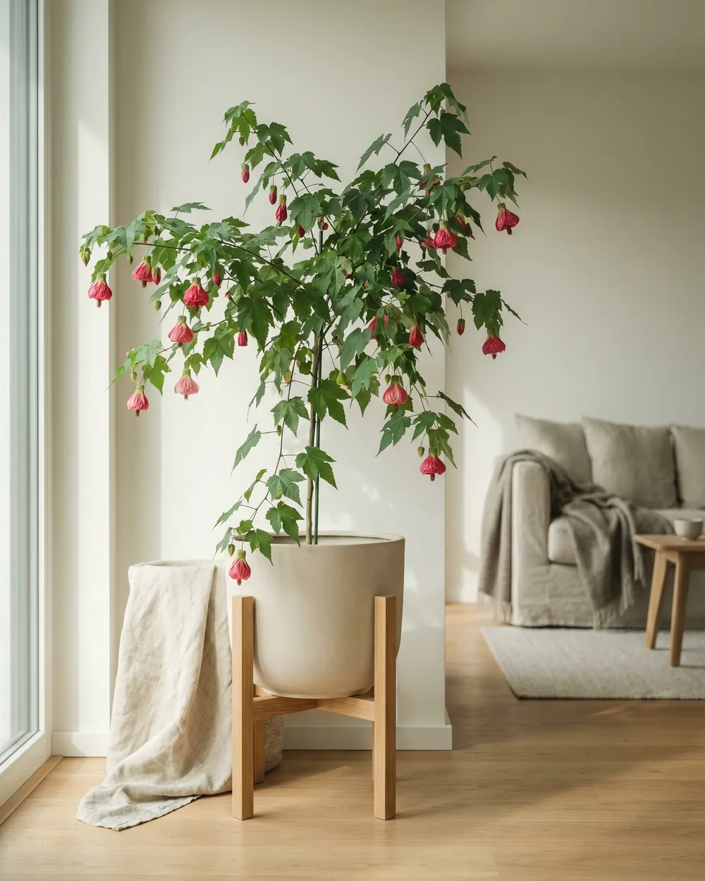 Schönmalve styliert im Wohnraum
