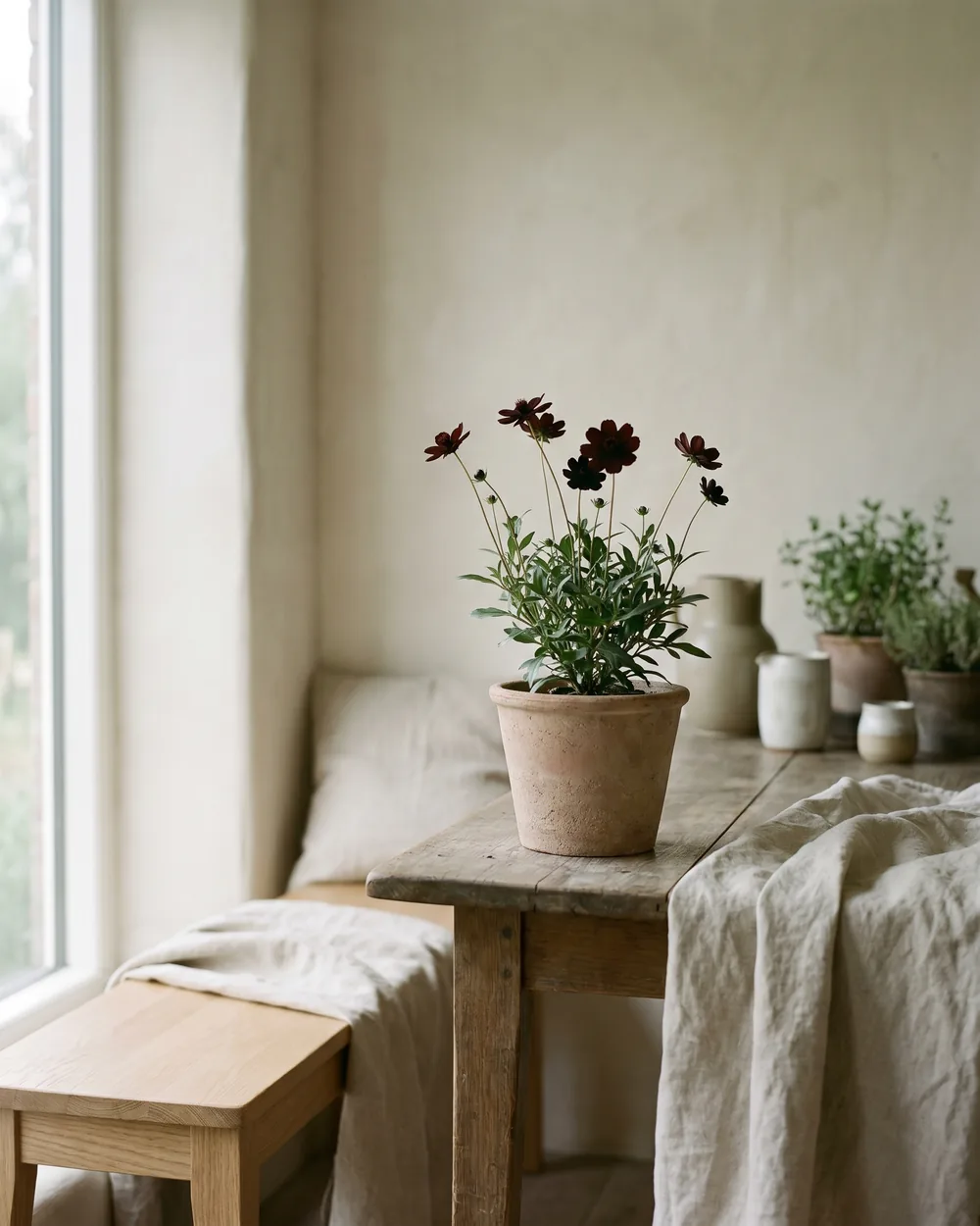 Schokoladenblume styliert im Wohnraum