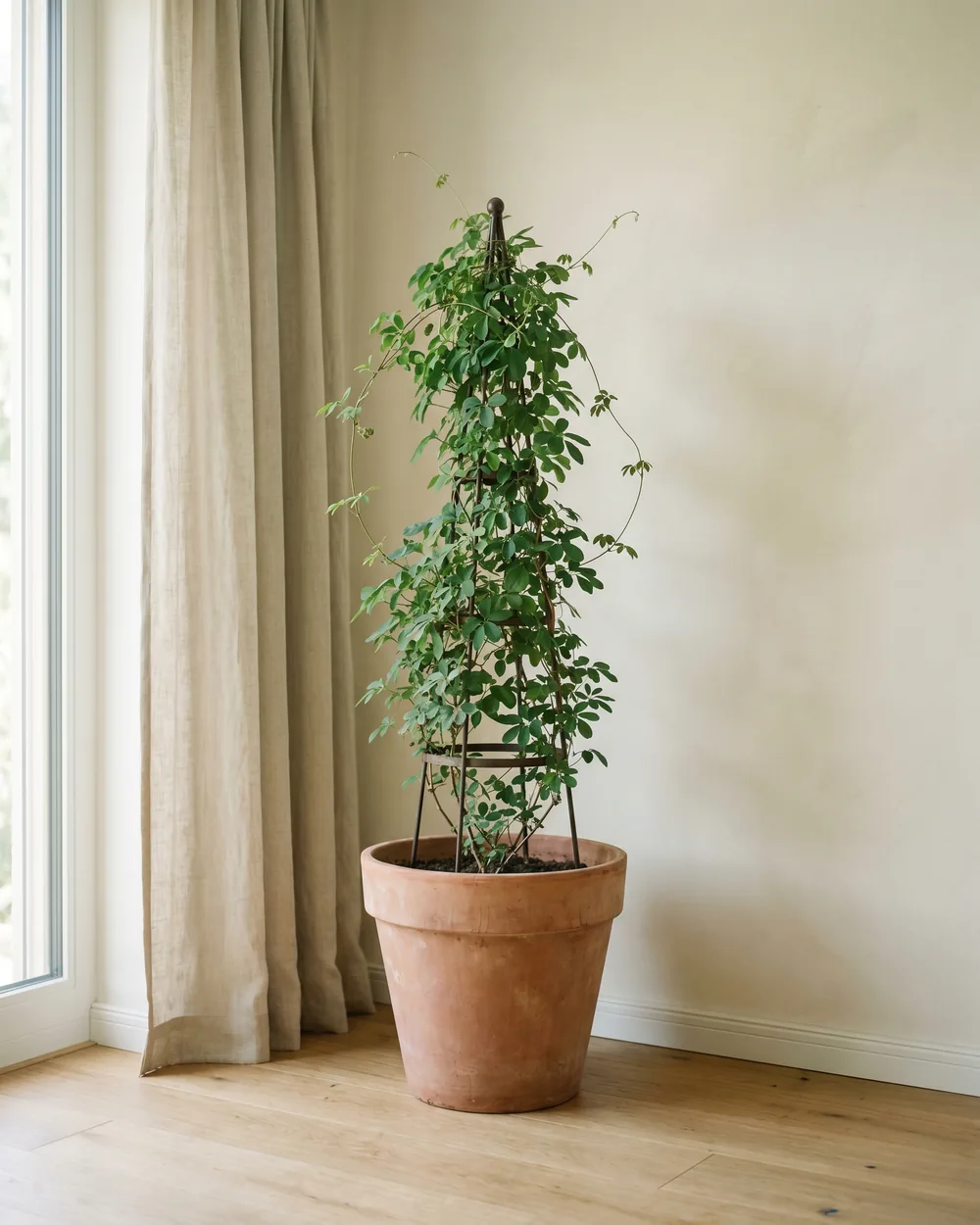 Schokoladenwein styliert im Wohnraum