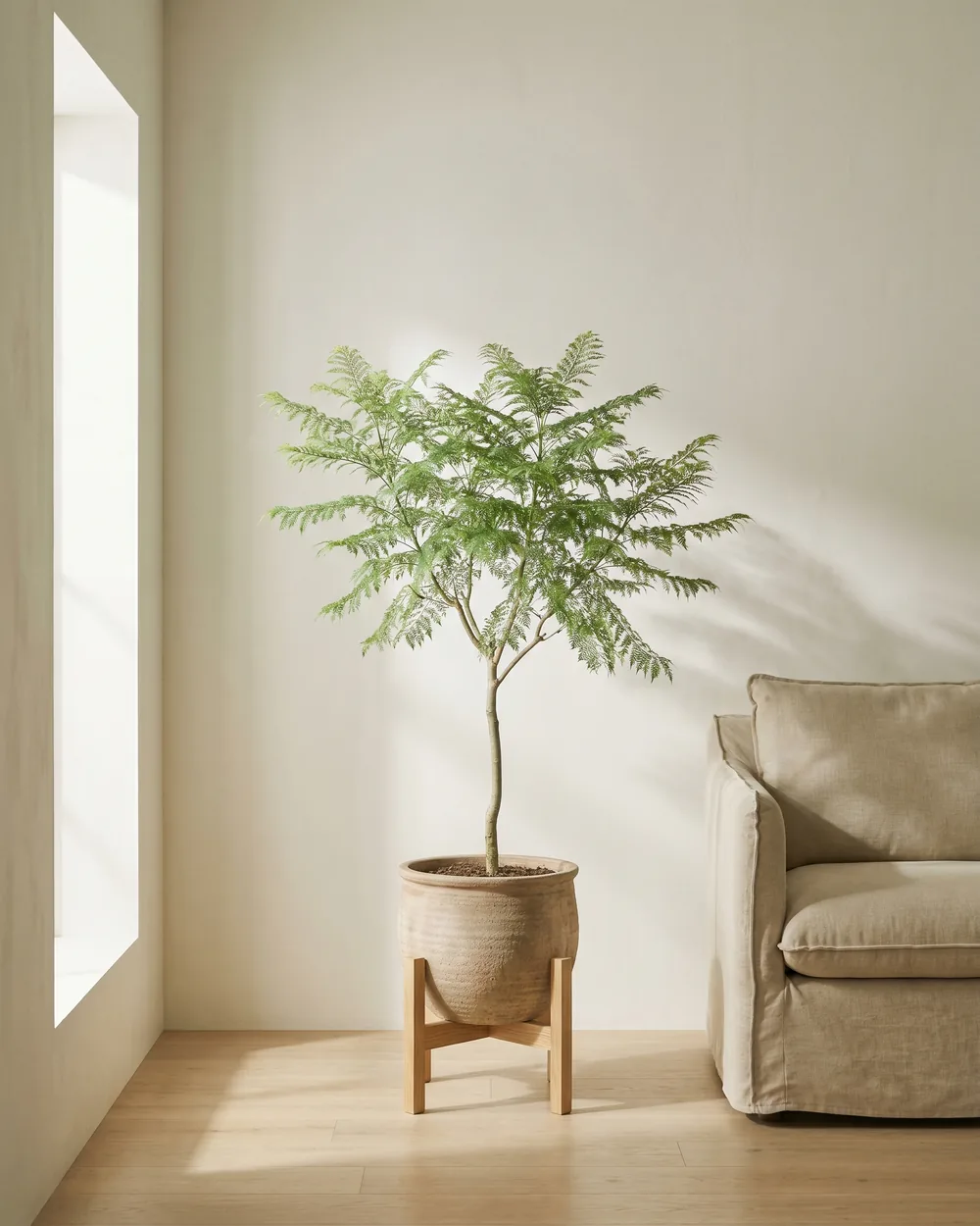 Jacaranda styliert im Wohnraum
