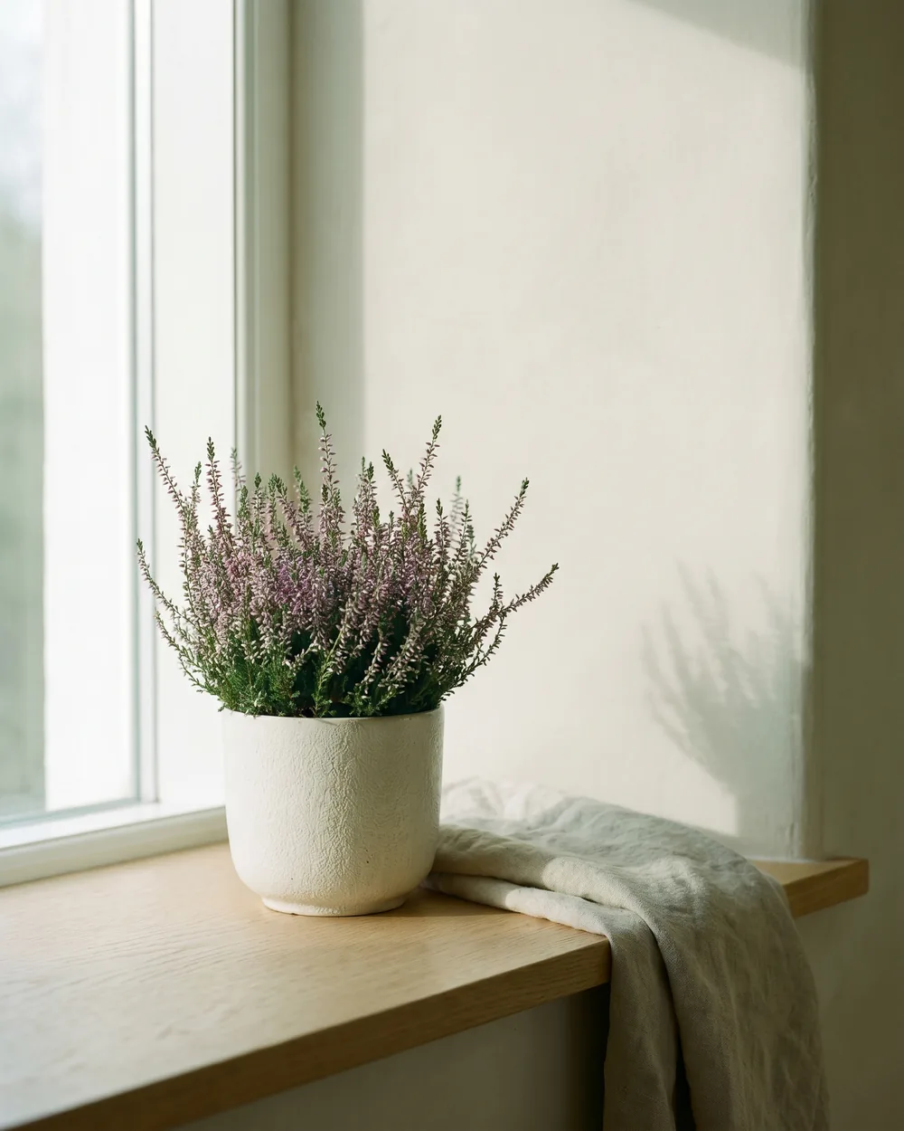 Heidekraut styliert im Wohnraum
