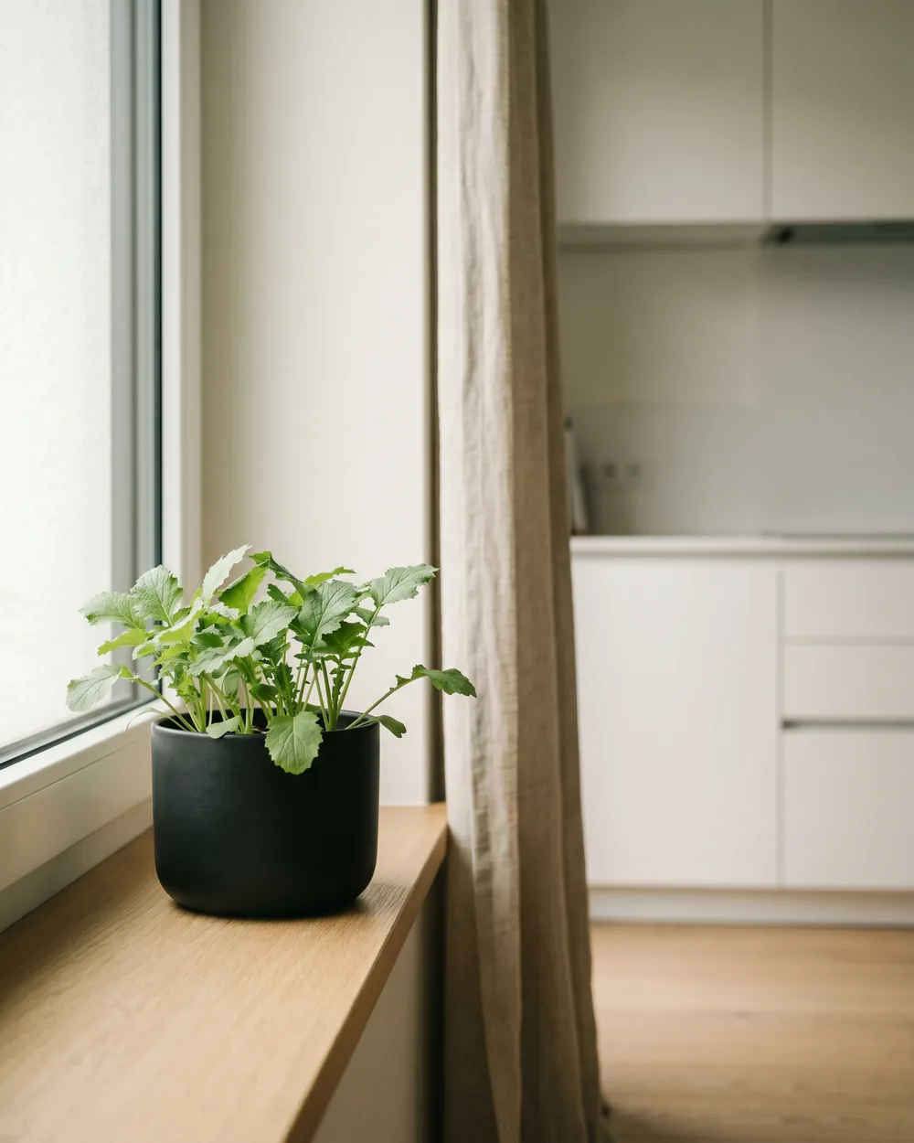Senf styliert im Wohnraum