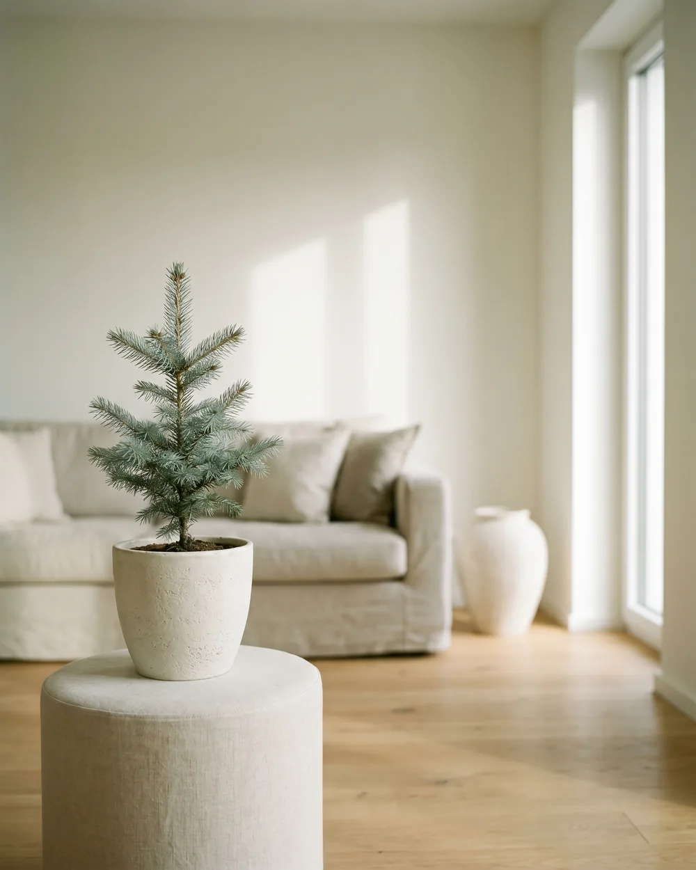 Serbische Fichte styliert im Wohnraum