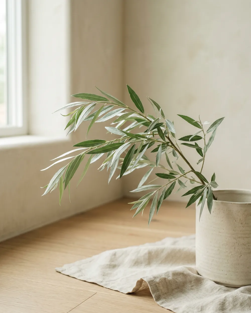 Silberweide styliert im Wohnraum