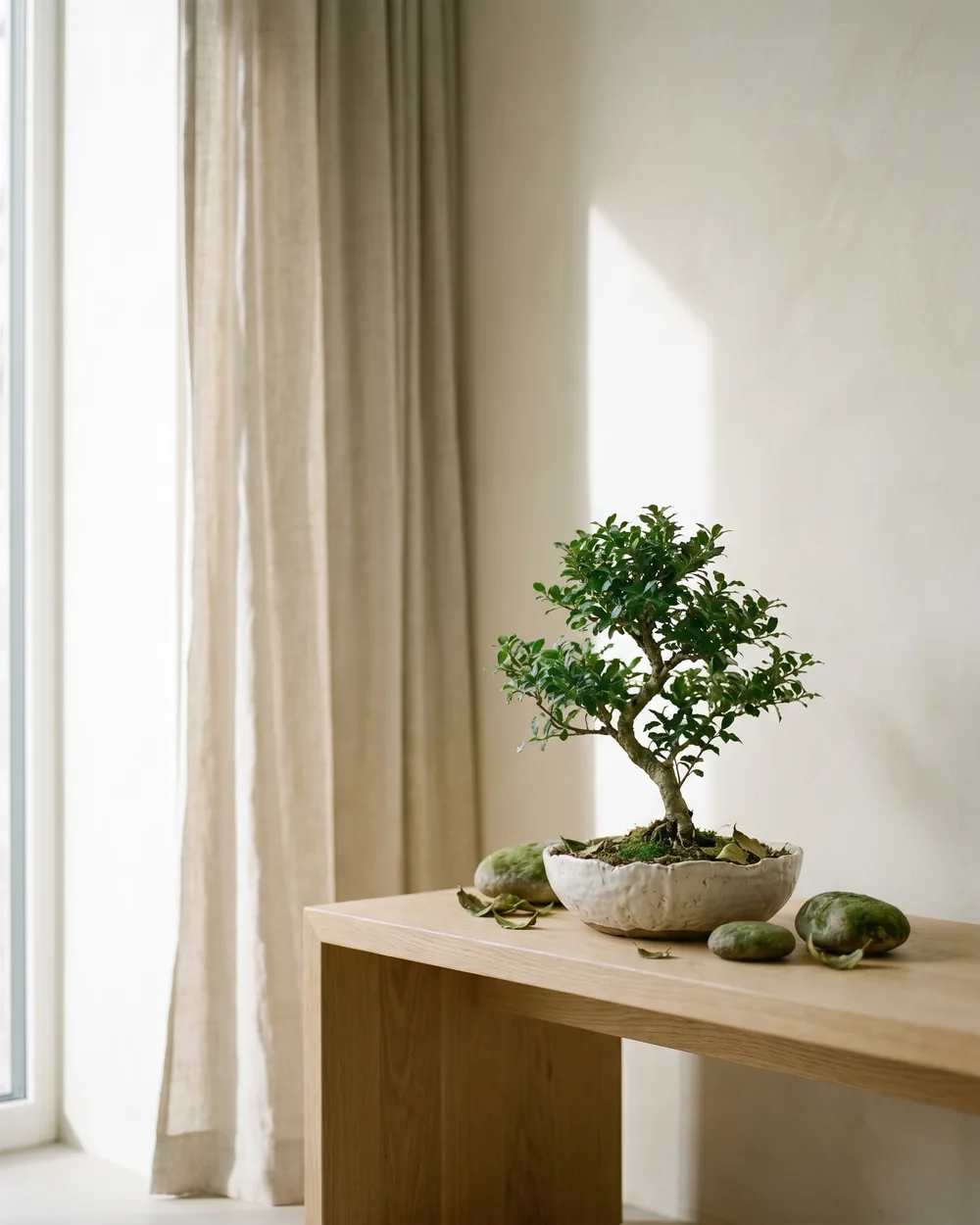 Japanische Stechpalme styliert im Wohnraum
