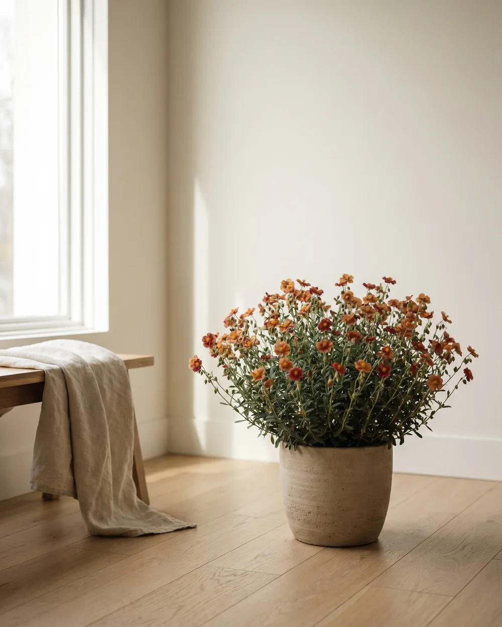 Sonnenröschen styliert im Wohnraum