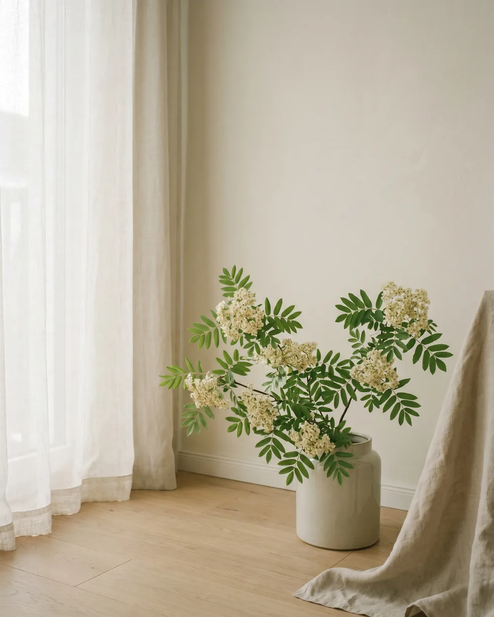 Sorbus styliert im Wohnraum