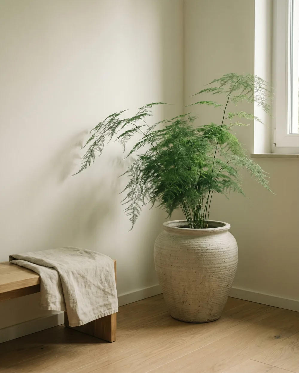 Spargel styliert im Wohnraum